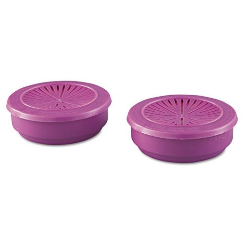 Honeywell P100 Particulate Cartridge (2-pack)