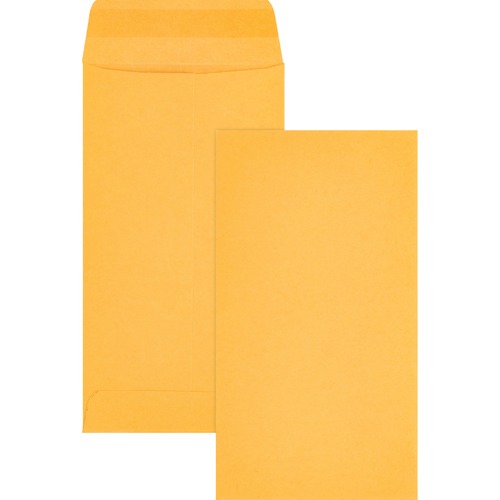 CGS Dry Sample Kraft Coin Envelope